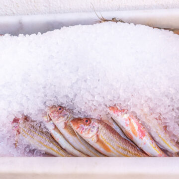 Pan fried red mullet with rosemary, vinegar