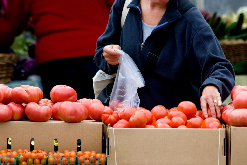 Fresh Tomatos